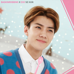 [exo] 베라 <b>히든</b>컷..세훈이