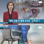 [추억파리여] <b>매장</b> 신발속 벌에 쏘였는데 고객탓