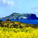 [뷰티] made in jeju, <b>청정</b>섬 제주에서 온 화장품 소개