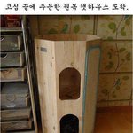 [oc8] 박스를 삿더니 <b>캣타워</b>가 공짜.jpg