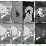 [oc8] 바퀴벌레 발견했을 때 공감.<b>gif</b>