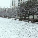 [EXO] <b>하교</b>길에 눈온거 한번 찍어봤음