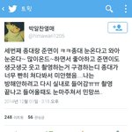 [CHEN] 오늘 눈온다고 좋아한 비글강아지종대ㅜㅜ