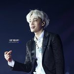 [EXO] @@@야 여기아이디개많음@@@