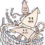 <b>지역별</b> 오징어 분포도