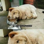 <b>만사</b>가 귀찮은 당신을 위한 어플