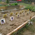 [널스토리] 유치원에서 어린이들이 만든 <b>텃밭</b>