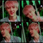 [EXO] 엑소엘들 다 들어와봐