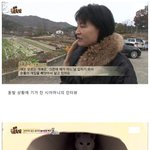 [추억파리여] <b>동물</b>농장 막장드라마 jpg