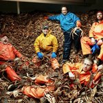 [추억파리여] 세계 최고의 극한알바