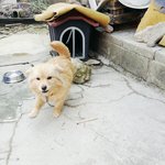 [EXO] <b>이웃집</b> 할머니집 똥개 귀여워ㅋㅋ