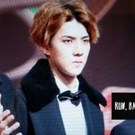 [EXO] 오세훈존나귀티나