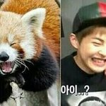 [EXO] 이제곧인스타랑<b>프롬</b>이올라오겠지