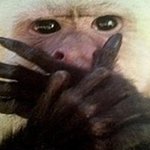 [EXO] 얘들아 블랙펄<b>이전</b>에 뭐 했어??