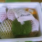 [필수] 모바일게임 <b>농사</b>짓는 어플~