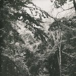 [EXO] 그대를 꼭 <b>안아</b>주며