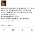 [널스토리] 부모님들이 막내에겐 <b>관대</b>한 이유