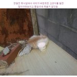 마음으로 보는 사진들..85