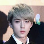 [EXO] 내가 남자였어도 말걸어보고싶을듯