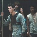 [<b>뉴트</b>] 미로 탈출하는 톰 