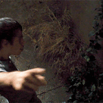 [뉴트] 메이즈<b>러너</b> 촬영장 쳐들어가고싶다 