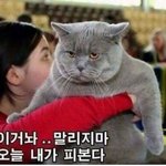 [ㅋㅋ] 안무영상의 비하인드 드립