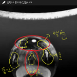 [EXO] 야 <b>구슬</b>안에 5명 같다 (사진ㅇ)