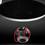 [EXO] 이 사람이랑 이사람이랑 똑같아 보이는 사람은 나뿐임?