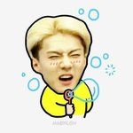 [EXO] 진심이다 내 스펙은