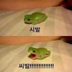 [EXO] 해외망붕들은 티저보고 스<b>엠</b>만 욕하더라;;