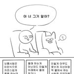 [널스토리] 더쿠들의 행동<b>패턴</b>