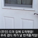 [이거저거] 격한 <b>환영</b>을 기대했던 남자