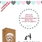 봉투미팅 1기 <b>예선</b>은 성격, 외모는 본선!! 솔로남녀 들어와요