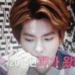 [EXO] 쇼타임보다 개소름
