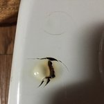 [온수매트] 온수매트 보일러에서 불이 났어요.
