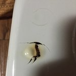 [꼭봐주세요] 온수매트 <b>보일러</b>에서 불이났어요