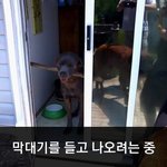 [모바일잡지] 막대기가 걸려서 당황했자나~