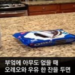 [모바일잡지] 귀여운 오레오맨