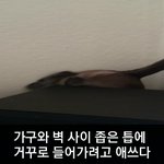 [모바일잡지] 넌 이제 내꺼야!