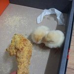 [귀엽지은] 엄마<b>면회</b>