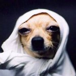 [EXO] 니들 <b>사촌</b>중에 연예인이나 지인있냐?