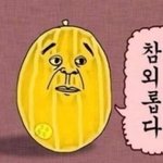 썸타는사람들 궁금한게