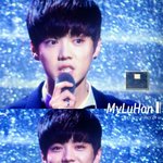 [exo] ㅋㅋㅋ둘기들끼리도 견제하나<b>봄</b>ㅌㅋㅋㅋㅋ