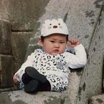 [EXO] 존나귀엽다ㅋㅋㅋㅋㅋ<b>진화</b>한 시우민몬