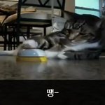 [이거저거] 식당가면 꼭 있는 진상 손님