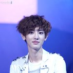 [EXO] 찬열이<b>대포</b>  ㅋㅂㅂㅇ 도 <b>사진</b> 진짜 좋았는데