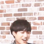 [EXO] 애들요번마마 움짤있니