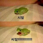 아진짜블락비이해<b>안감</b>