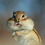 [EXO] 판 운영자님 저 <b>악담</b>한거 없는데 제한ㅠ