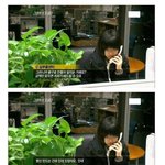 [추억파리여] 영화 신세계 조선족들이 <b>현실화</b>